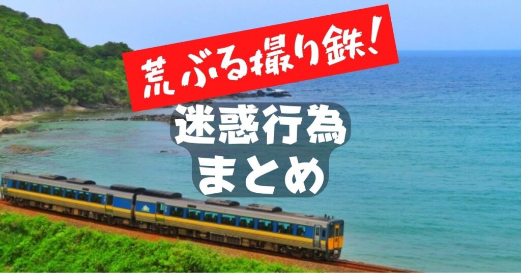 赤楚衛二 映像研には手を出すな