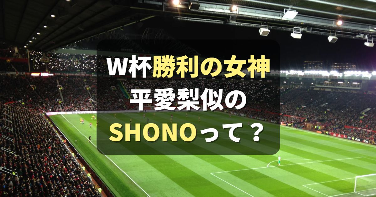 SHONO W杯"日本の勝利の女神"が平愛梨にそっくり！関係は？