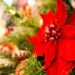 準備・片付けが簡単ラクなクリスマスツリーおすすめは？